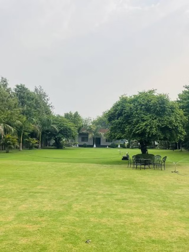 Green lawn and mature trees
